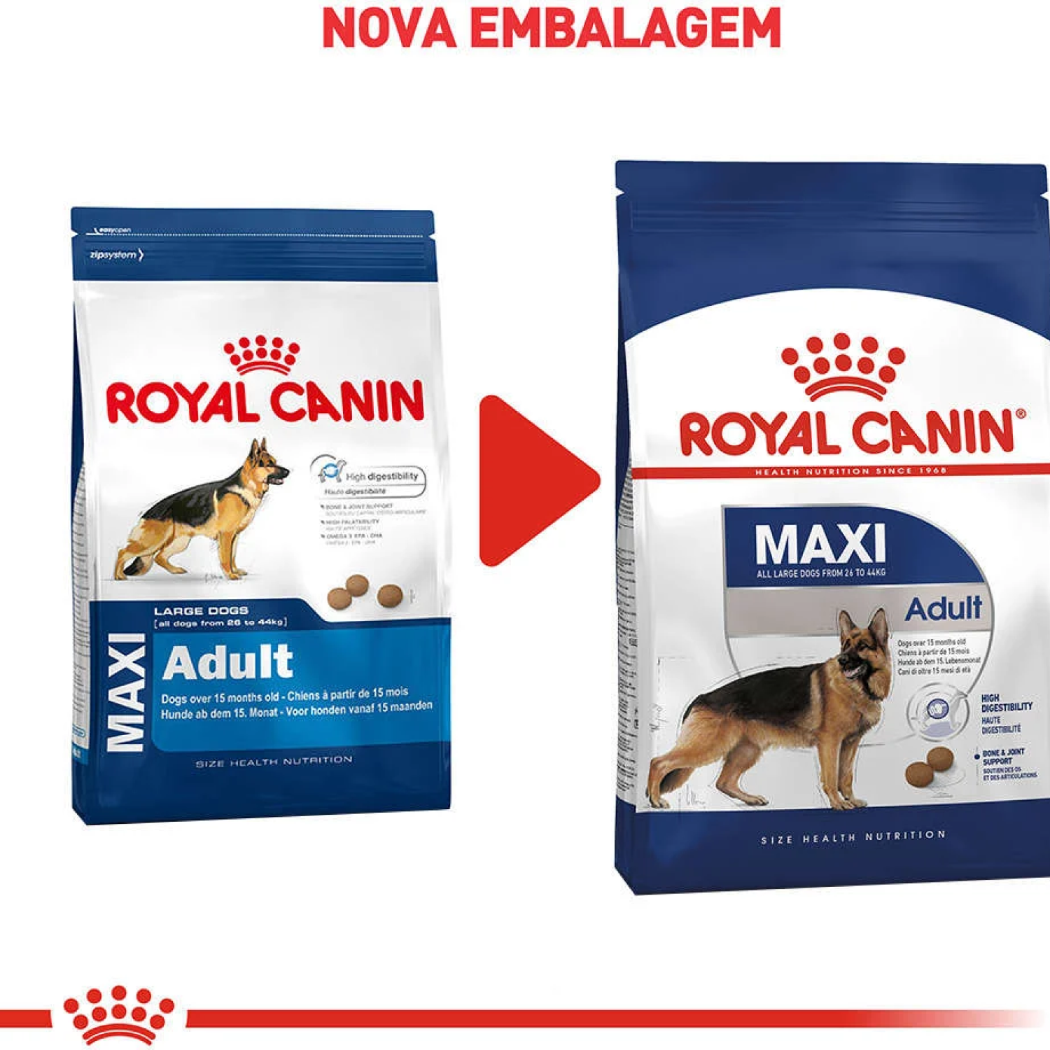 Ração Royal Canin Maxi Adult para Cães Adultos Grandes a partir de 15 Meses de Idade - 15kg - Imagem 2