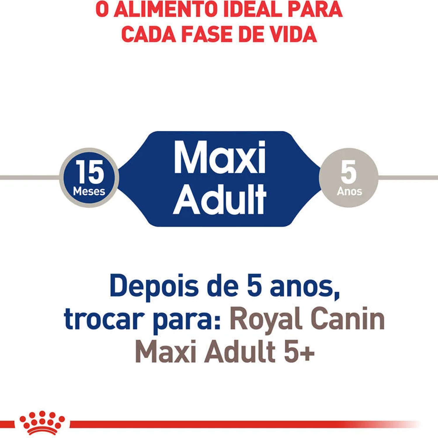 Ração Royal Canin Maxi Adult para Cães Adultos Grandes a partir de 15 Meses de Idade - 15kg - Imagem 3